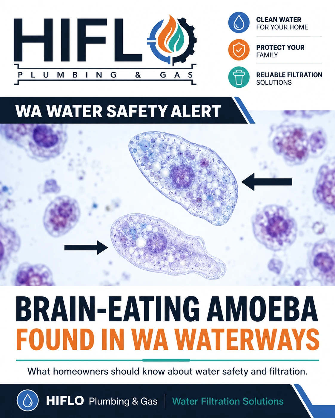 HIFLO WA water-safety awareness graphic about amoeba in waterways.